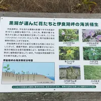 伊良湖岬自然散策路の写真・動画_image_217180