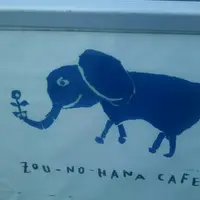 象の鼻カフェの写真・動画_image_217534