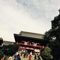 鶴岡八幡宮の写真・動画_image_218811