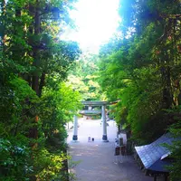宝登山神社の写真・動画_image_219170