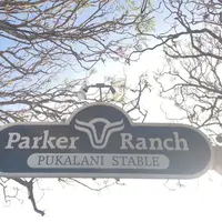 Parker Ranchの写真・動画_image_221349