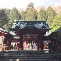 箱根神社の写真・動画_image_221694