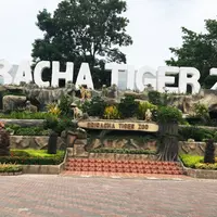 Sriracha Tiger Zoo（シーラチャ・タイガー・ズー）の写真・動画_image_222967
