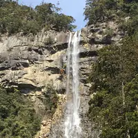 那智の滝の写真・動画_image_223142