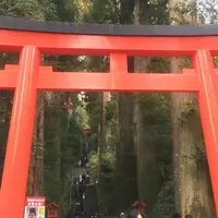 箱根神社元宮の写真・動画_image_224894
