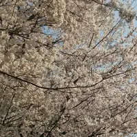 陸上自衛隊練馬駐屯地の写真・動画_image_227153