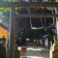 酒列磯前神社の写真・動画_image_227629