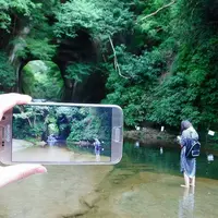 濃溝の滝の写真・動画_image_228164