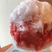 ティーハウス　マユール宮崎台店の写真・動画_image_228857