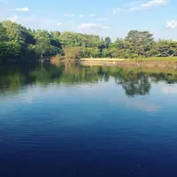 国営昭和記念公園日本庭園の写真・動画_image_231831