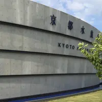 京都水族館の写真・動画_image_232841