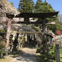 山家神社の写真・動画_image_233606