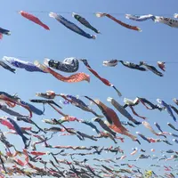 高槻市鯉のぼりフェスタの写真・動画_image_233985