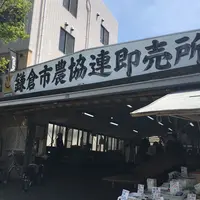 鎌倉市農協連即売所の写真・動画_image_234246