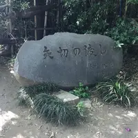 矢切の渡しの写真・動画_image_235088