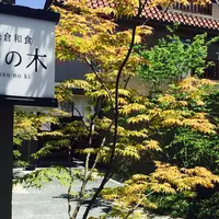 鎌倉和食 楠の木の写真・動画_image_235786