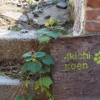 【閉業】akichi koenの写真・動画_image_236016