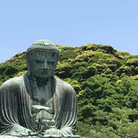 鎌倉大仏（高徳院）の写真・動画_image_241335