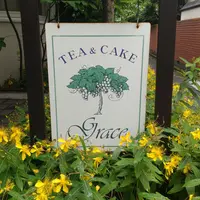 Tea＆Cake Grace （ティーアンドケーキ グレース）の写真・動画_image_246824
