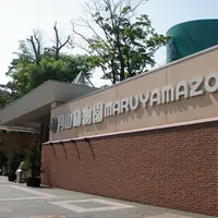 円山動物園の写真・動画_image_247389