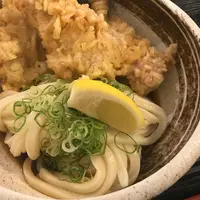 讃岐うどん 白庵の写真・動画_image_247876