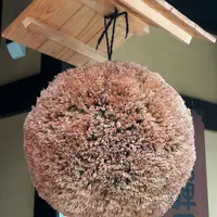 飛騨地酒蔵 本店の写真・動画_image_256844