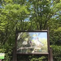 トキの森公園の写真・動画_image_259724