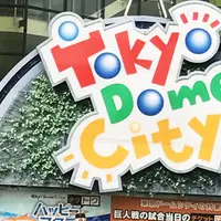 東京ドームの写真・動画_image_260740