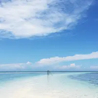 フィリピン ボホール島の写真・動画_image_261448