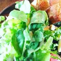 Nid CAFEの写真・動画_image_262484