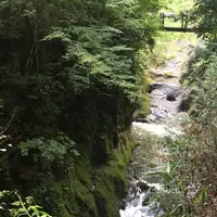 下城滝の写真・動画_image_264386
