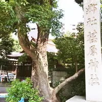 荏原神社の写真・動画_image_265052