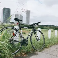 二子玉川 多摩川の河川敷の写真・動画_image_268598