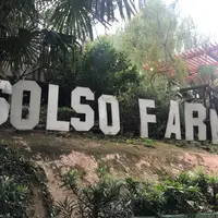 Solso Farmの写真・動画_image_270832