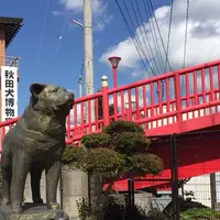 秋田犬会館の写真・動画_image_271696