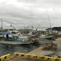 月の浦新港の写真・動画_image_271746