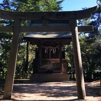 天橋立神社の写真・動画_image_272164