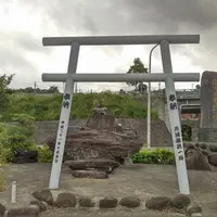 月の浦新港の写真・動画_image_272466