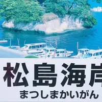 松島の写真・動画_image_273886