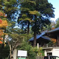 若松寺の写真・動画_image_275834