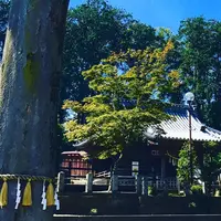 瀧宮神社の写真・動画_image_277724