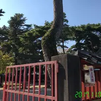 尾崎神社の写真・動画_image_277799