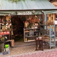 malto（マルト）の写真・動画_image_282541