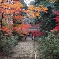 室生寺の写真・動画_image_283017