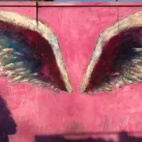 天使の羽壁画の写真・動画_image_284283
