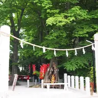 今宮神社の写真・動画_image_289236