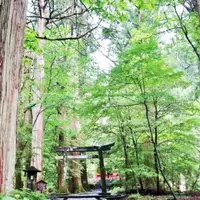 滝尾神社の写真・動画_image_289264