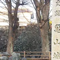 旧亀山城多門楼の写真・動画_image_290729