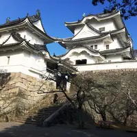 上野城の写真・動画_image_290730