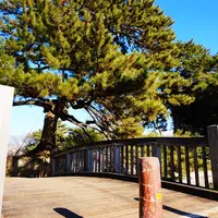亀城公園の写真・動画_image_293752